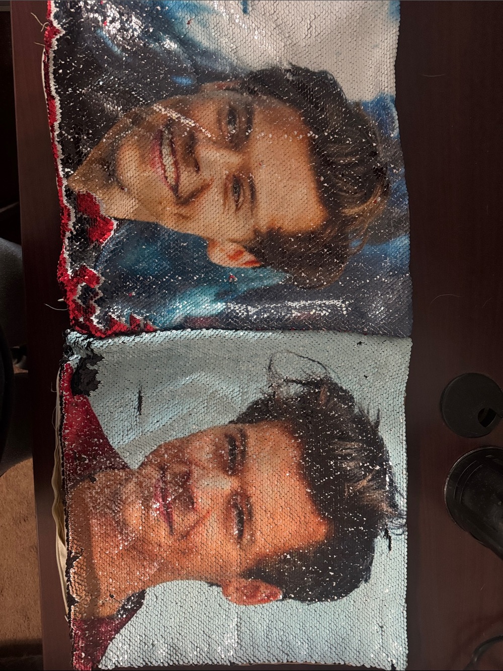 Reversible Sequin Photo Panel - Harry Styles